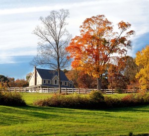 Home in the fall