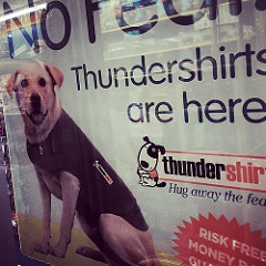 Thundershirt photo